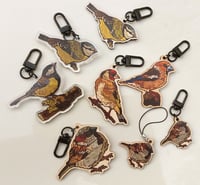 Image 1 of Birds 2025 keychains