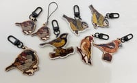 Image 3 of Birds 2025 keychains