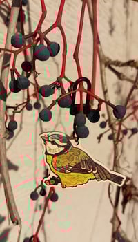 Image 6 of Birds 2025 keychains