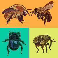 Image 1 of BUGS 2025 - stickers/keychains
