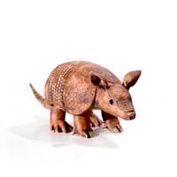 Image 3 of Armadillo Sculpture