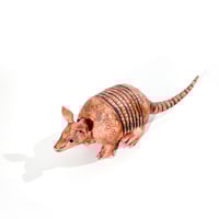 Image 4 of Armadillo Sculpture