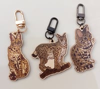 Wild cat keychains