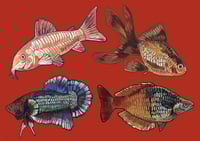 Image 4 of Fish keychains, old designs