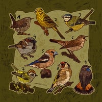 Image 2 of Bird sticker sheet 2025 II