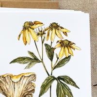 Image 2 of sochan & chanterelle card