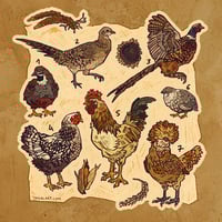 Image 2 of Chicken sticker sheet 2025 
