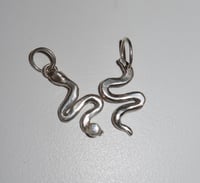 serpent charms