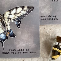 Image 2 of just look at what you've become card