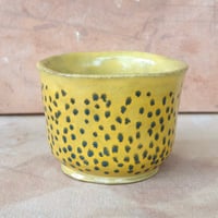 Boxfish Cup
