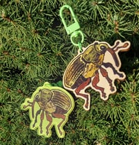 Image 8 of BUGS 2025 - stickers/keychains