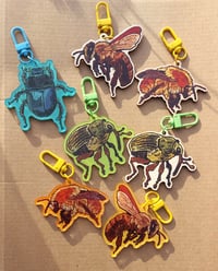 Image 2 of BUGS 2025 - stickers/keychains