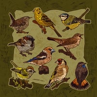 Image 1 of Bird sticker sheet 2025 II