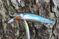 Image 7 of Custom Airbrushed Jerkbait TA MAXX 110 4009
