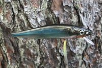 Image 8 of Custom Airbrushed Jerkbait TA MAXX 110 4009