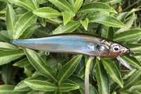 Image 10 of Custom Airbrushed Jerkbait TA MAXX 110 4009