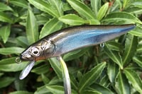 Image 12 of Custom Airbrushed Jerkbait TA MAXX 110 4009