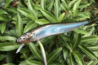 Image 14 of Custom Airbrushed Jerkbait TA MAXX 110 4009