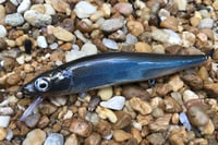 Image 1 of Custom Airbrushed Jerkbait TA MAXX 110 4009