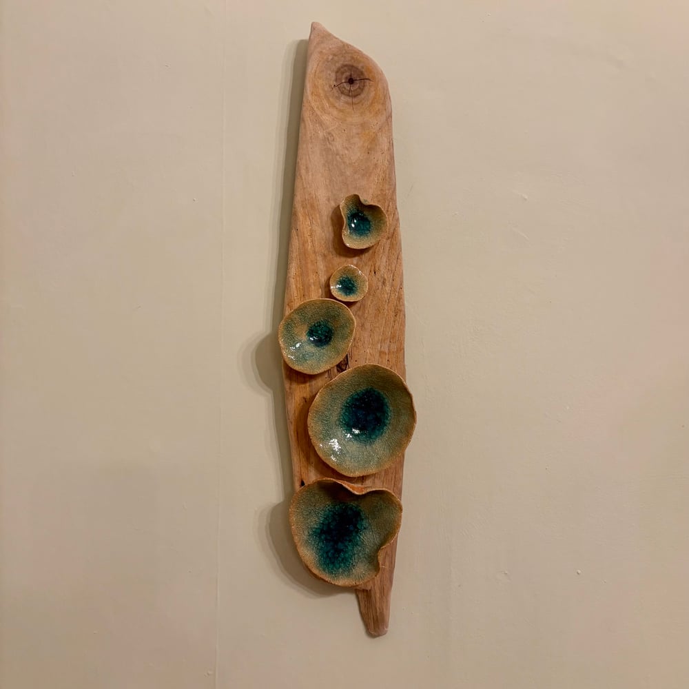 Image of Lily pad wall Driftwood