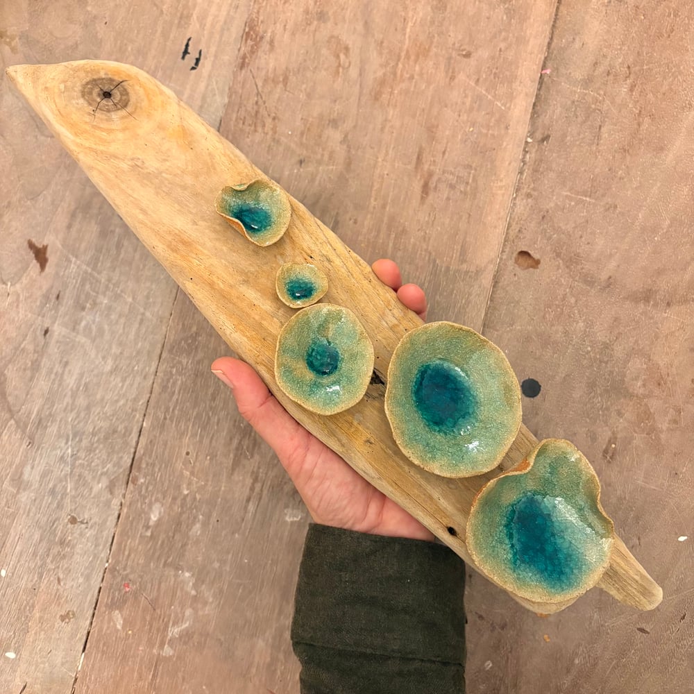 Image of Lily pad wall Driftwood