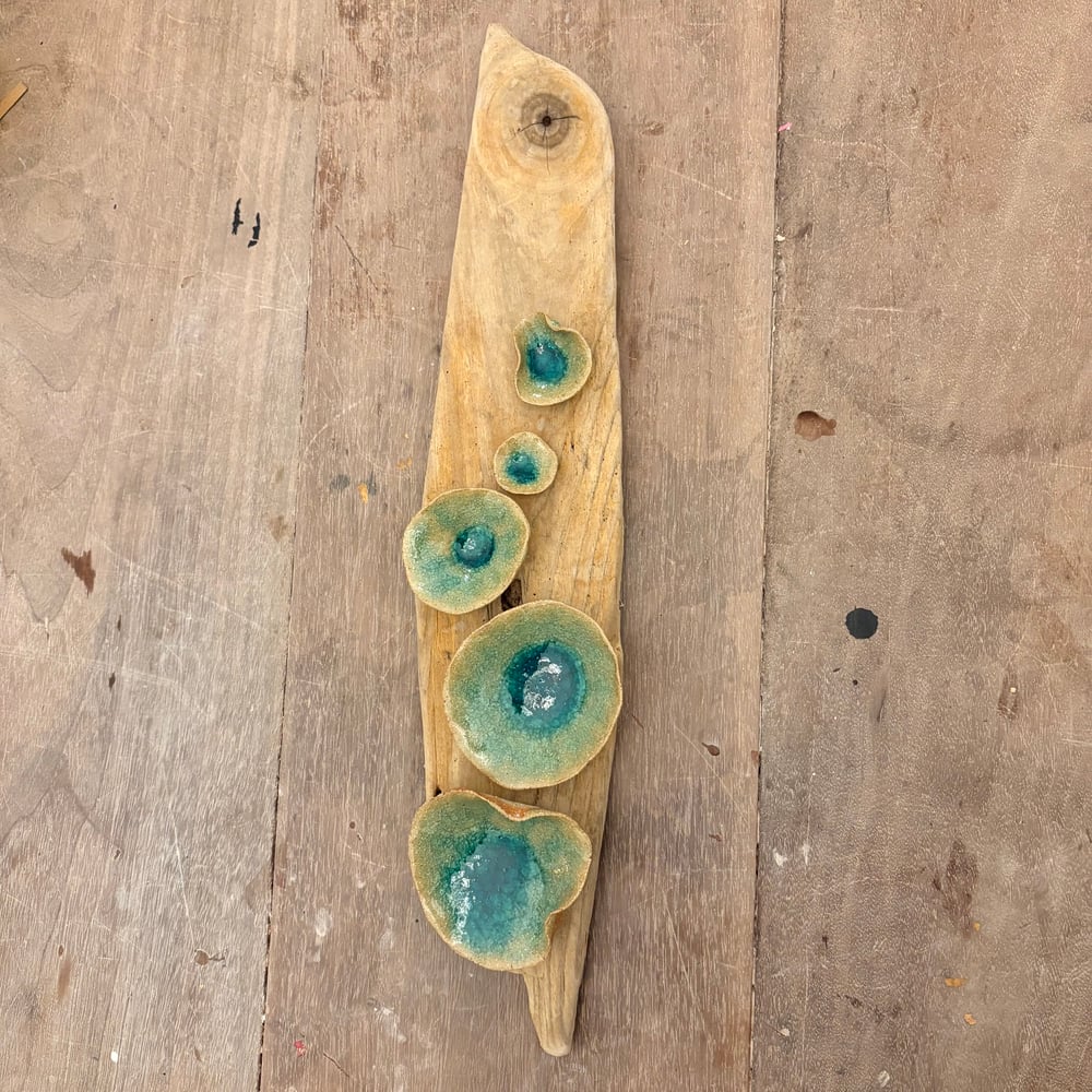 Image of Lily pad wall Driftwood