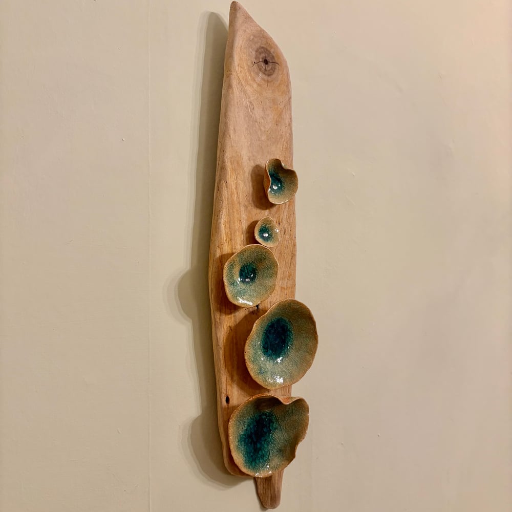 Image of Lily pad wall Driftwood
