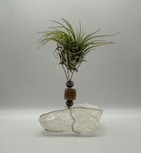 Image 1 of Aquarius/Clear Quartz Air Plant on Stand