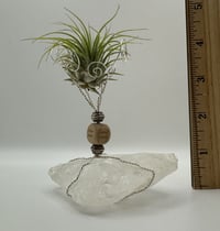 Image 3 of Aquarius/Clear Quartz Air Plant on Stand