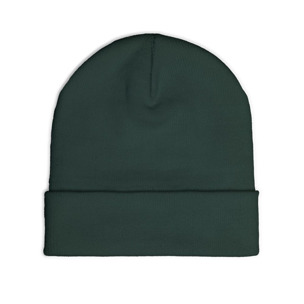 Image of Embroidered 'All Eyes On Aquarius' Knit Beanie