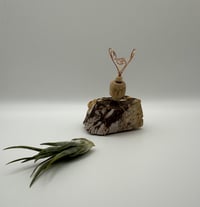 Image 2 of Aries/Jasper Air Plant on Stand