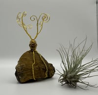 Image 2 of Barrel Bead/Tiger's Eye Air Plant on Stand