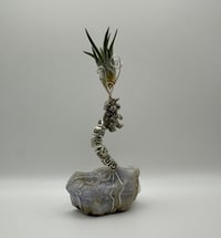 Image 1 of Grateful/Lace Agate Air Plant on Stand