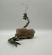 Image 2 of Grateful/Lace Agate Air Plant on Stand