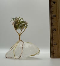 Image 3 of Simple Two Tone/Clear Quartz Air Plant on Stand