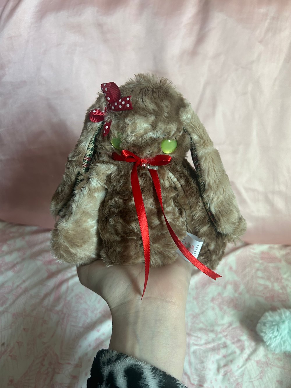 Image of mocha the bunny