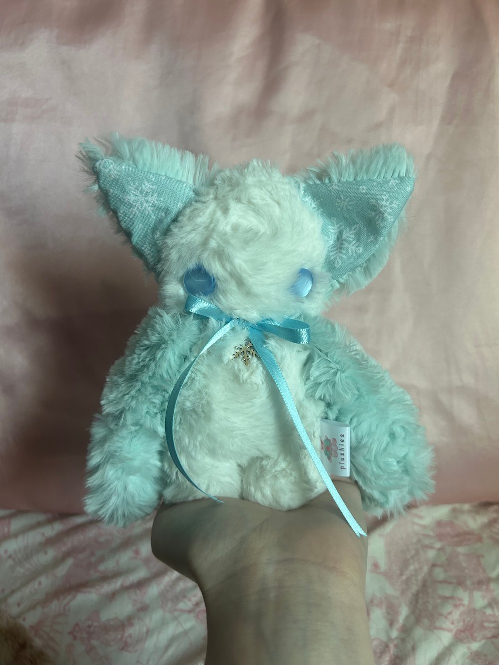 Image of winter the kitty