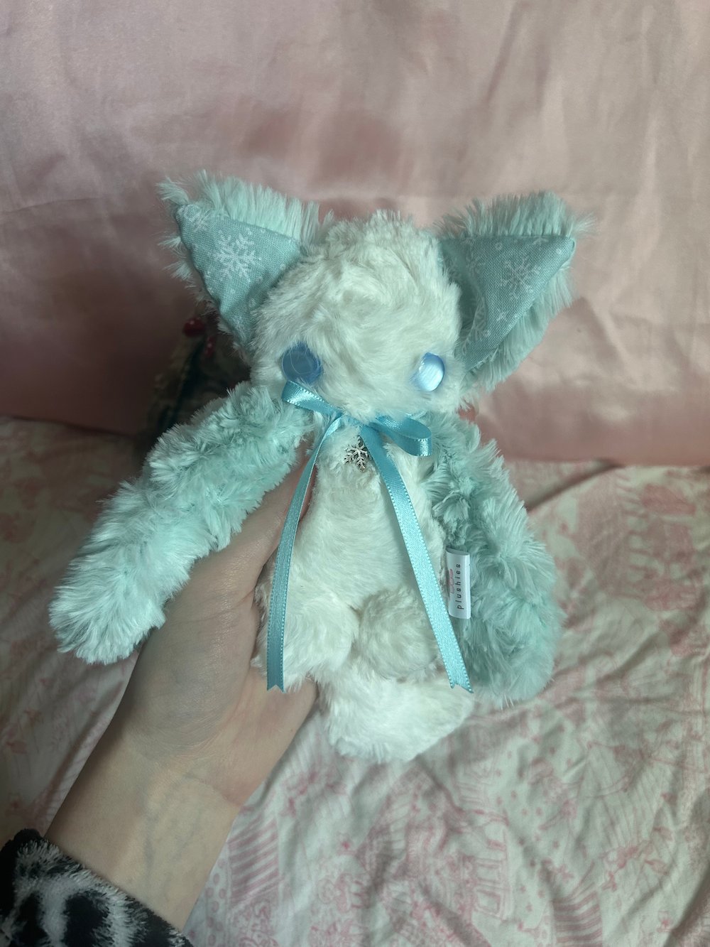 Image of winter the kitty