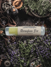 Douglas Fir Lipbalm 