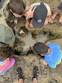 Ocean Grove - Wednesdays Term 1 (2- 5 year olds)