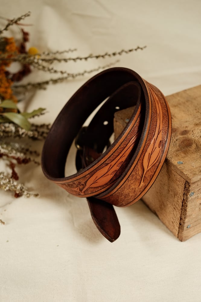 Image of Eucalyptus belt #5