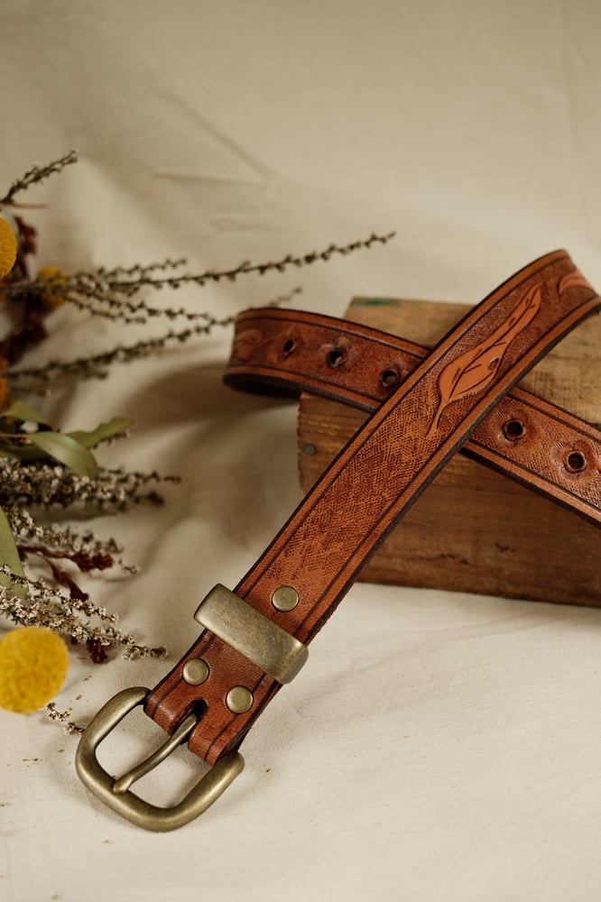 Image of Eucalyptus belt #5