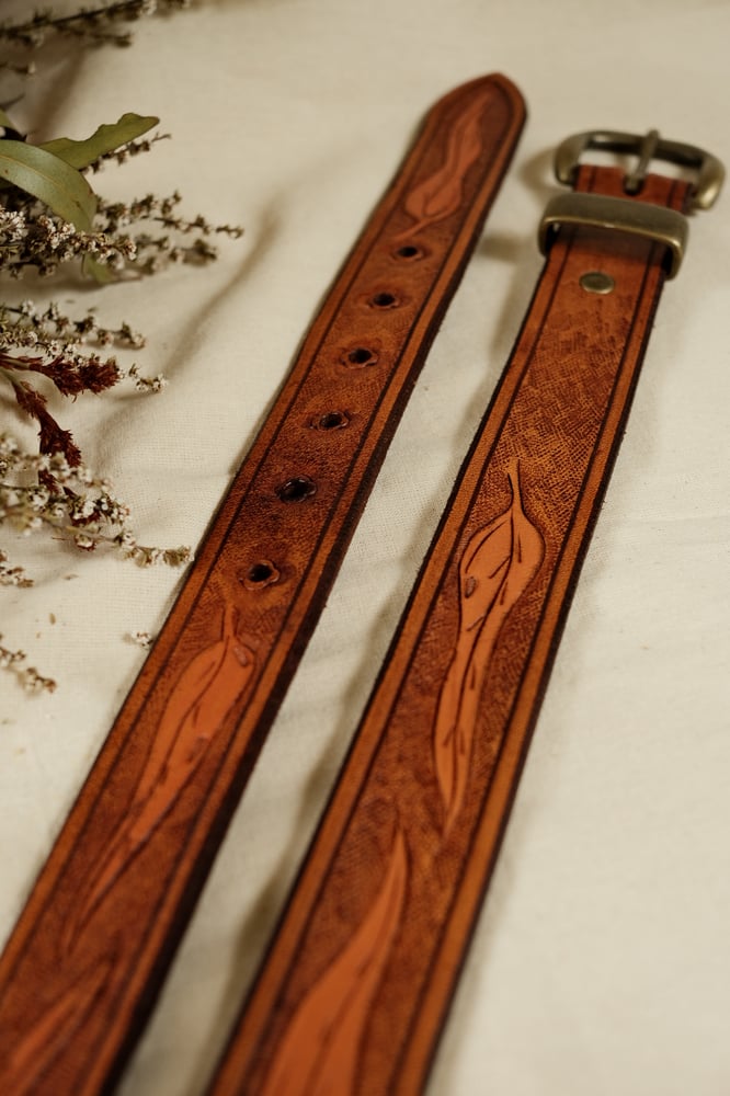 Image of Eucalyptus belt #5