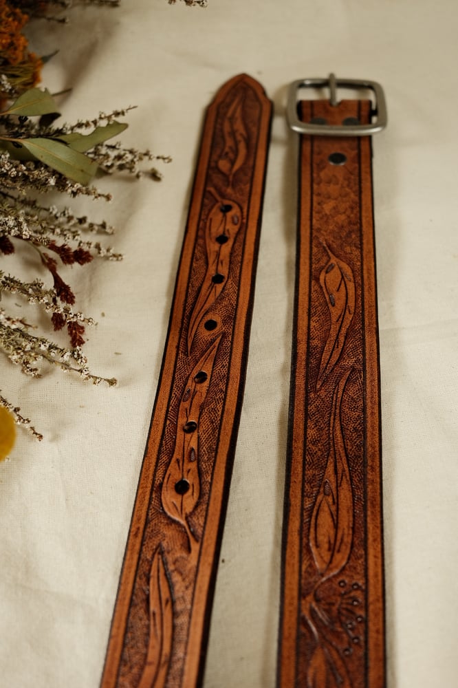 Image of Eucalyptus belt #6