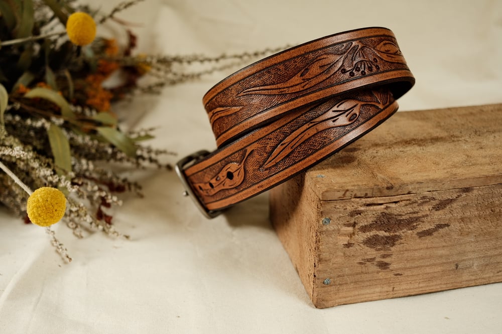 Image of Eucalyptus belt #6