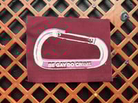 be gay do crime carabiner patch