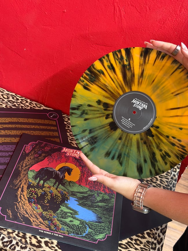 THE HORSE AND THE HILL - vinyl  (2025)