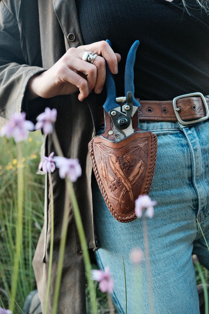 Image of Secateur pouch~  Eucalyptus 