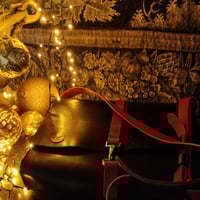 Image 1 of The Dracula 1897 Messenger Bag.