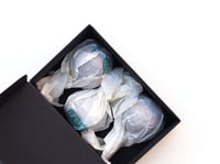 Image 2 of BLUMENKUGELN Lass sprießen